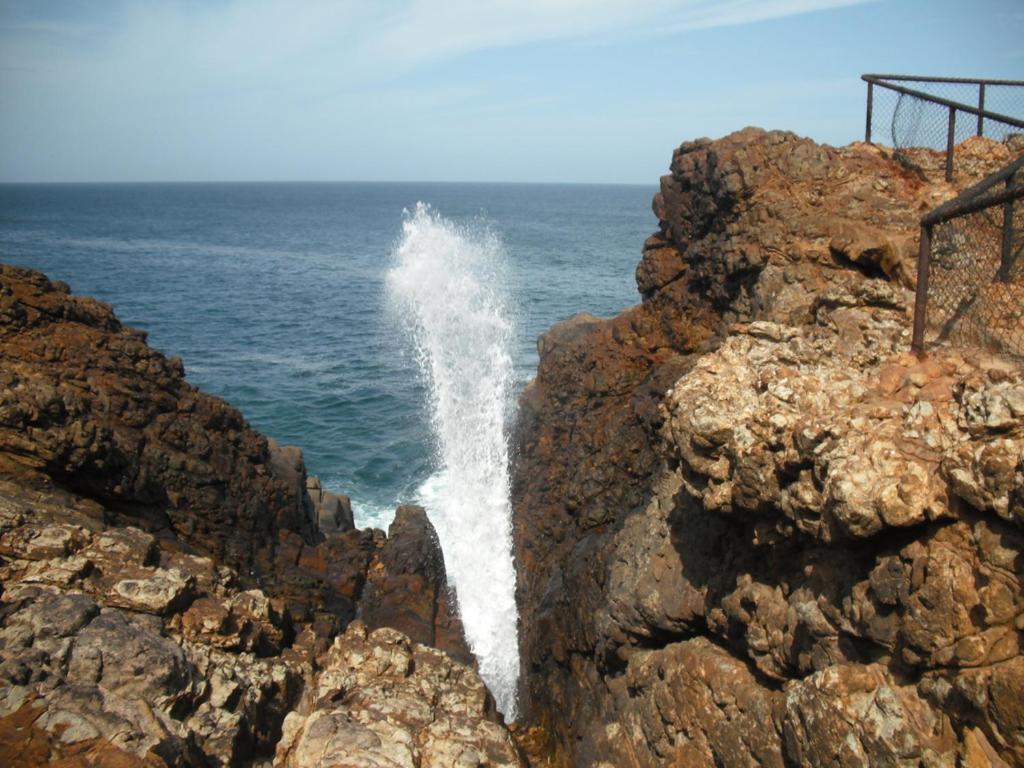Seagulls Garden Cabanas Tangalle Εξωτερικό φωτογραφία